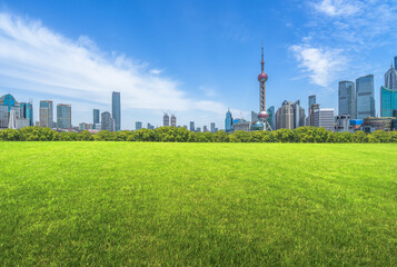 大卫尼斯洗发水怎么样 大卫尼斯欧艾系列